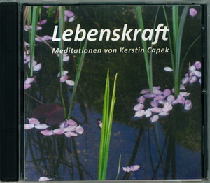 Coverbild der Audio CD CHOIS 2 (Es verbreite sich Licht) 